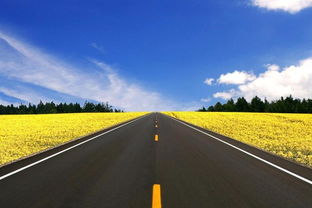 高速公路堵車，村民坐地起價收“過路費” 應急通道豈能成“生財之道”？